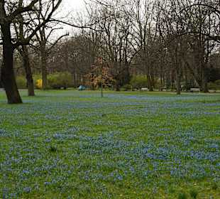 "Blaue Wiese" im Nordpark