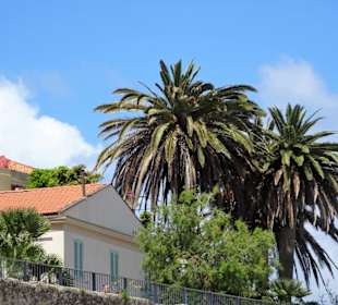 Streifzug durch die Altstadt von Alghero