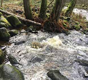 Wandern Buchberger Leite
