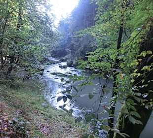 Alles wild gewachsen in der Klamm