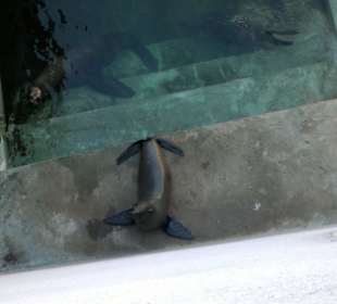 Zoo Brno