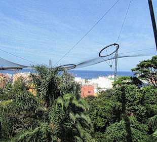 Ausblick aus dem "Vogelkäfig"