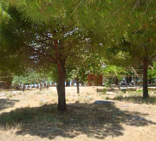 Schattiges Plätzchen