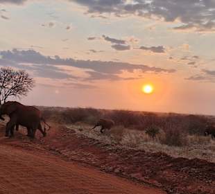 Tsavo East