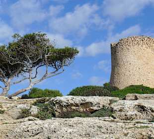 Bei Cala Pi