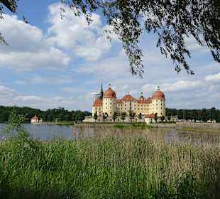 Schloss Moritzburg