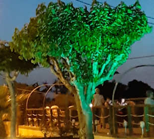 Inselrundfahrt Kreta