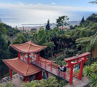 Monte Palace Tropical Garden
