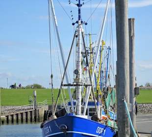 Eindrücke aus dem Kutterhafen von Dorum