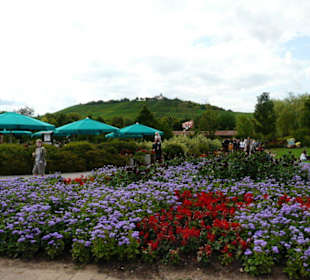 Alles schön angelegt