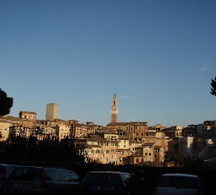 Siena