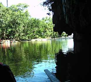 Vegetation am Flußauslauf