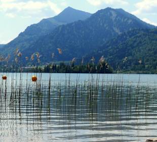 Ruhe am See