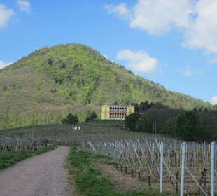 Schloss Villa Ludwigshöhe