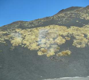 Seltsamer Pflanzenbewuchs