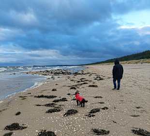Strand Trassenheide