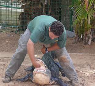 Oasis Park - Reptilienshow