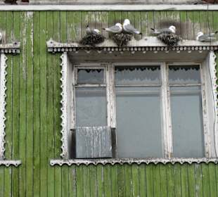 Hier wohnen nur noch Möwen