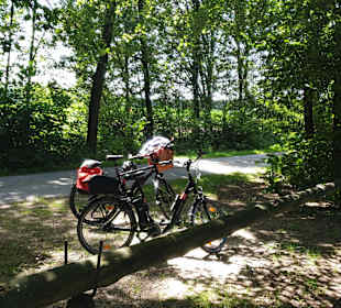 Pietzmoor