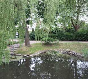Teich im Kurpark