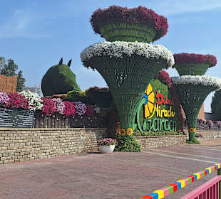  Dubai Miracele Garden