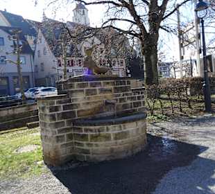 Gänswiese
