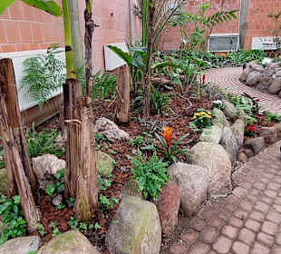 Schmetterlingsgarten