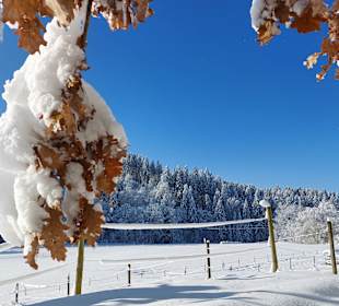 Wandern Wiggensbach