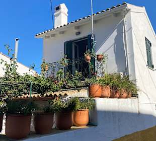 Inselrundfahrt Korfu