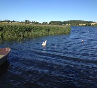 Wandern Sellin auf Rügen
