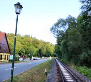 Kreisstraße an der Selke