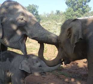Nicht nur gucken, sondern auch anfassen!