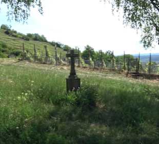 Früchtetrauf - Wurmlinger Kapellenwegle