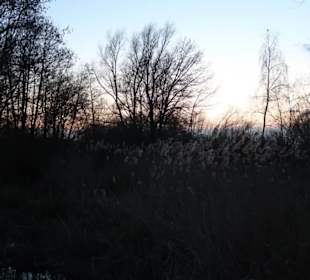 Seeimpressionen