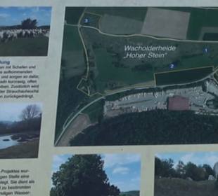 Wacholderheide Hoher Stein