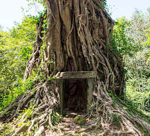 Tempel