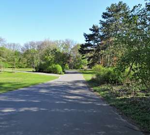 Rundgang durch den Bürgerpark Braunschweig
