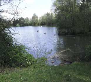 Wanderweg Hochgehwachsen