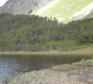 Der Wiegensee