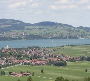Ausblick