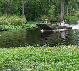Alligatorenfänger unterwegs