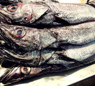 Mercado central, Cadiz