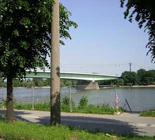 Rheinseilbahn und Zoobrücke