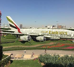 Dubai Miracle Garden
