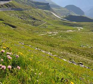 Grossglockner