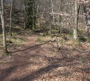 Geologischer Lehrpfad Kirnbachtal