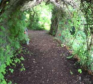 Mezger's Bürgle Park