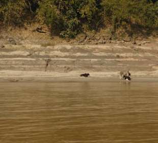 Mekong Flussfahrt