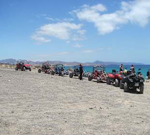 Buggytour