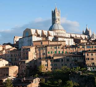 Viewpoint Siena